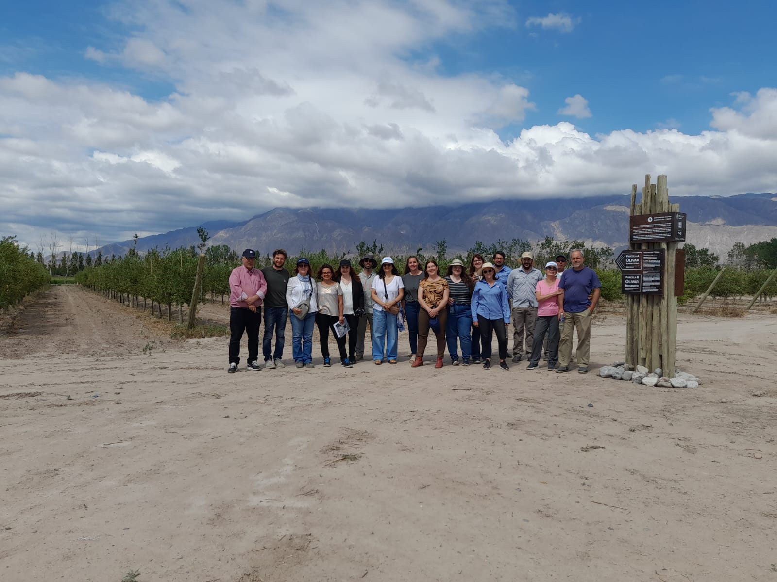 Argentina Repository Of The New International Olive Plant Collection 